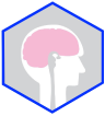 Neurosurgery - israel 2026